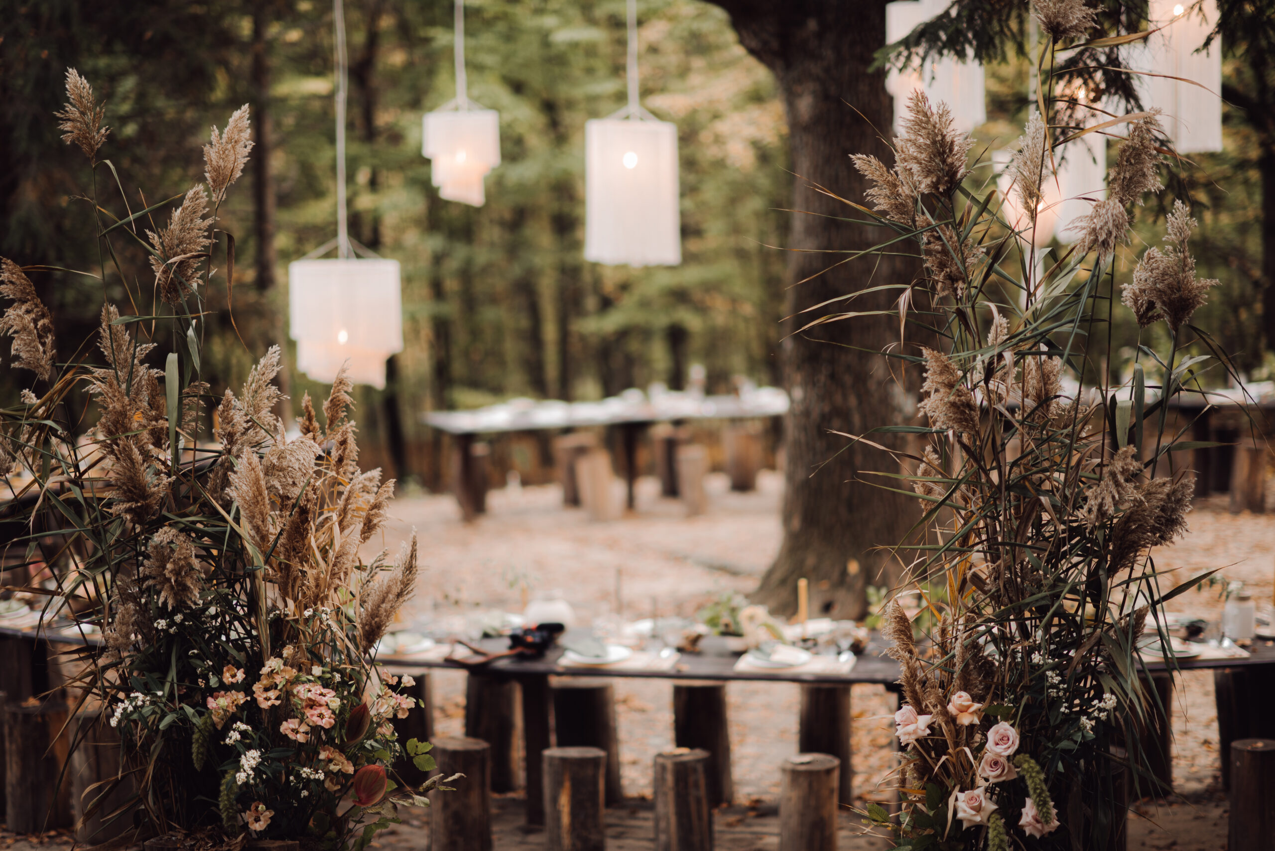 Hochzeitslocation im Wald im Herbst, Hochzeitsplanung Jessica